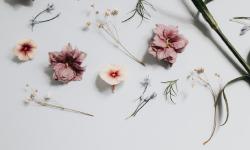 Featured image of post 表情符号支持